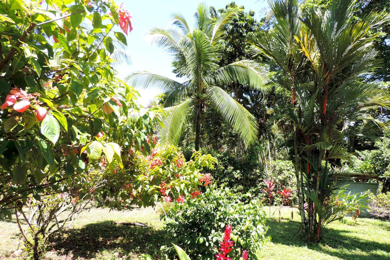 Rosa Lodge Cahuita Luaran gambar